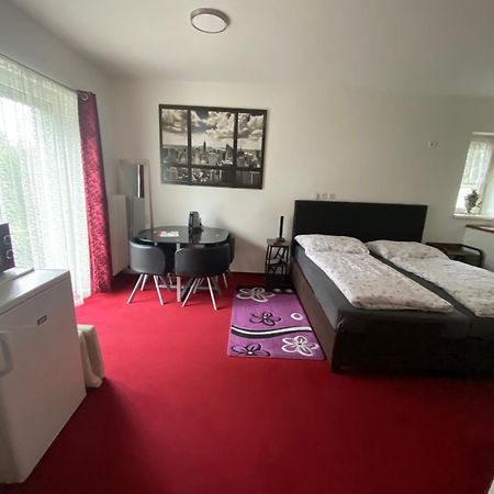 Homestay U Hanky Zdiby エクステリア 写真