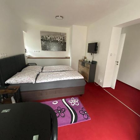 Homestay U Hanky Zdiby エクステリア 写真