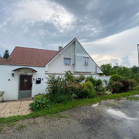 Homestay U Hanky Zdiby エクステリア 写真