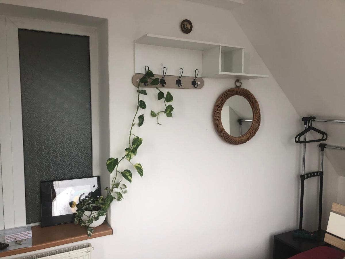 Homestay U Hanky Zdiby エクステリア 写真