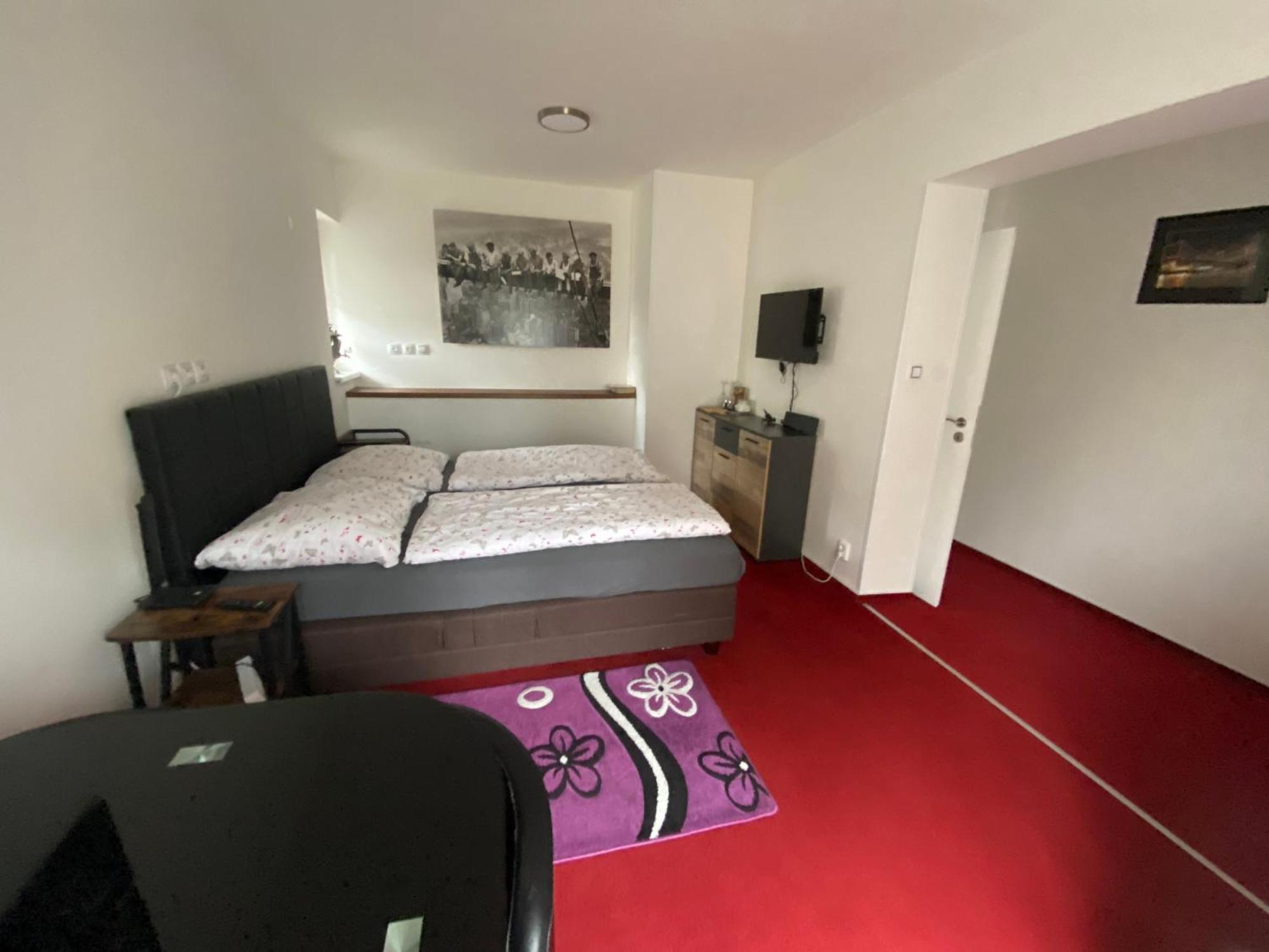 Homestay U Hanky Zdiby エクステリア 写真