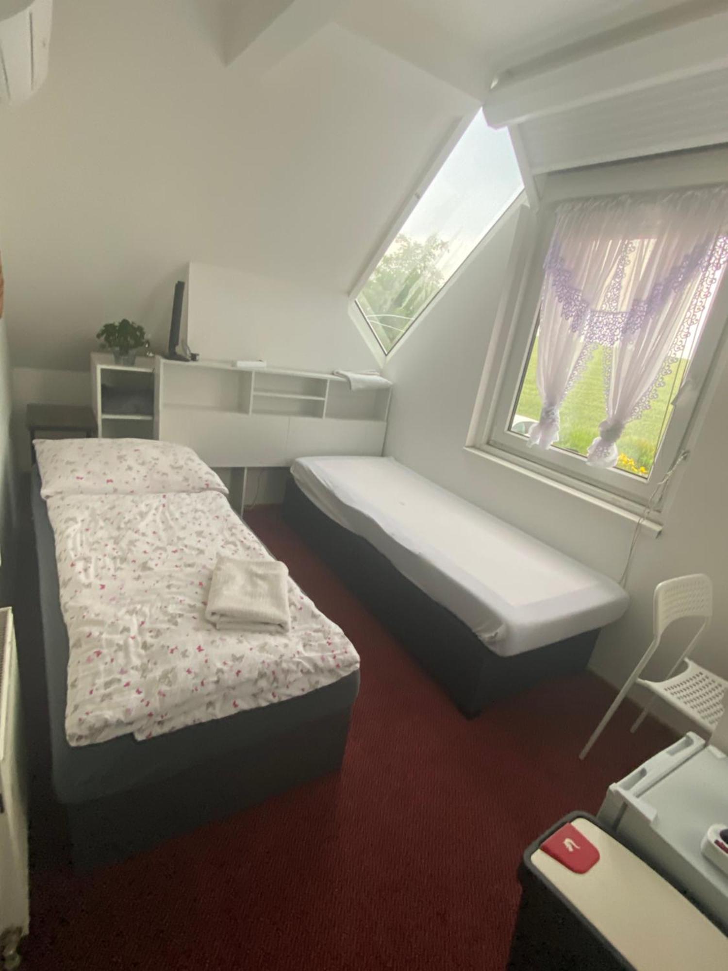 Homestay U Hanky Zdiby エクステリア 写真