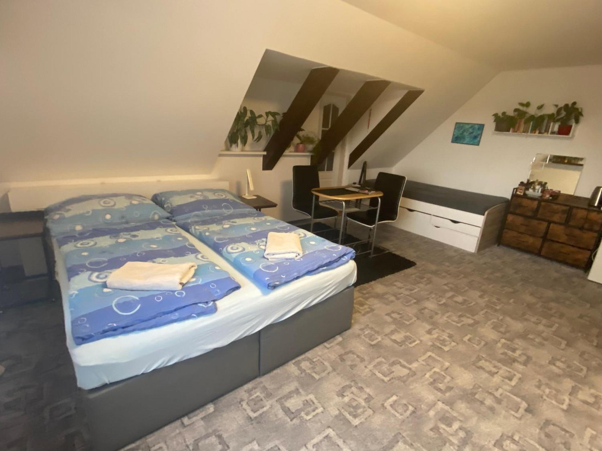Homestay U Hanky Zdiby エクステリア 写真