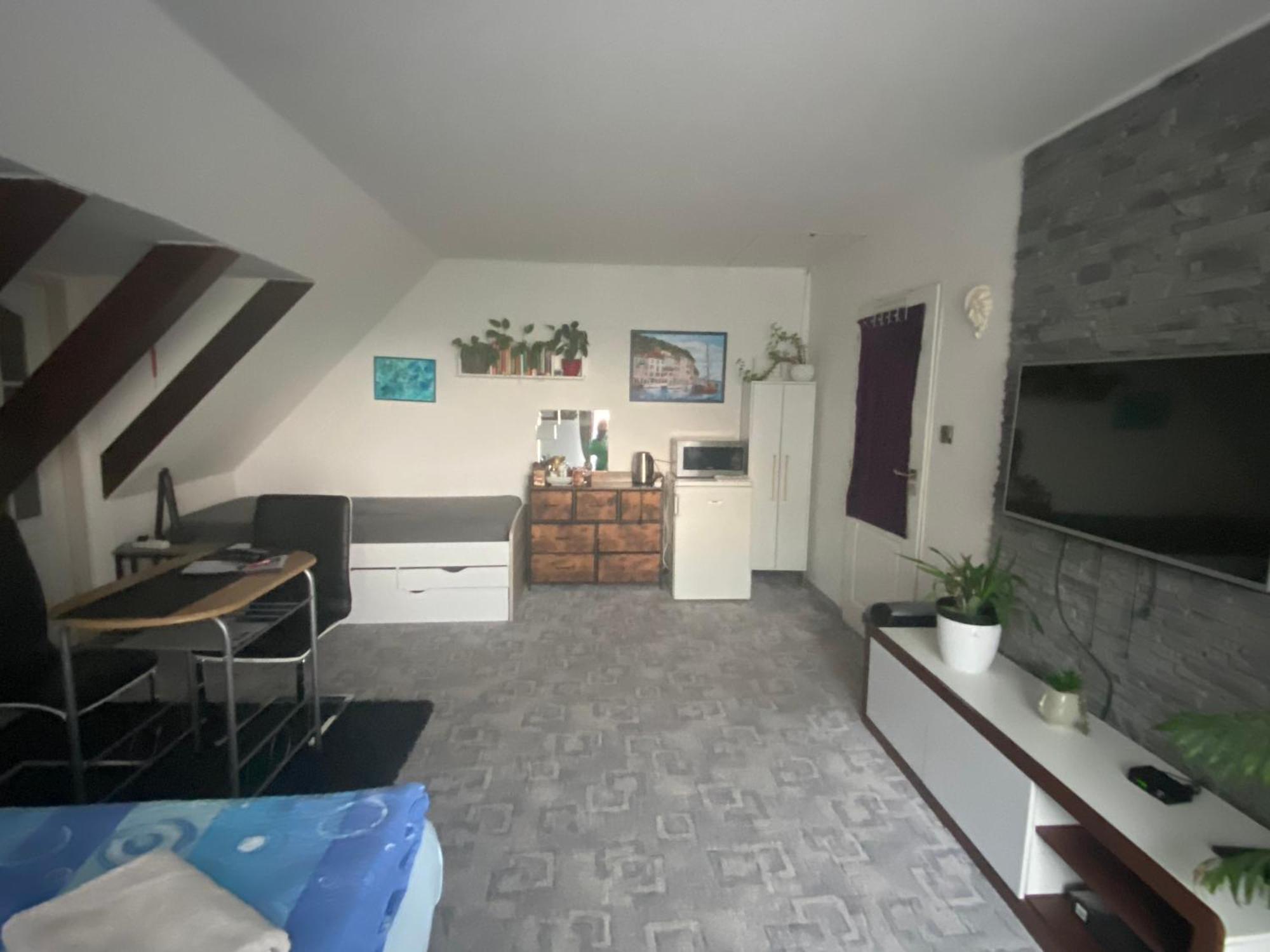 Homestay U Hanky Zdiby エクステリア 写真
