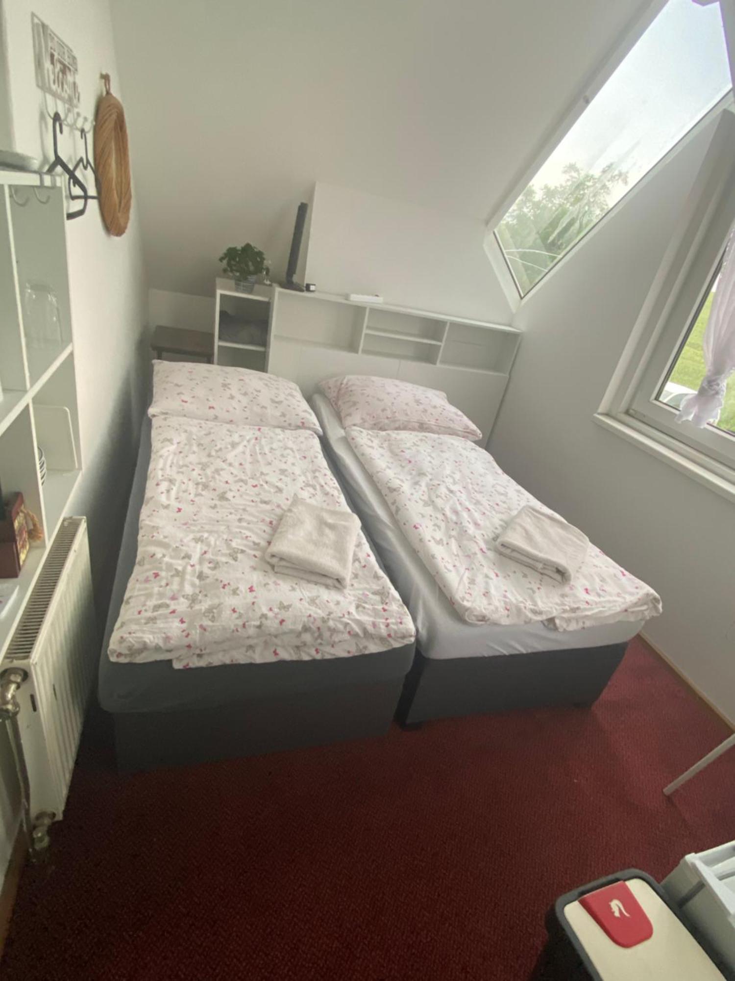 Homestay U Hanky Zdiby エクステリア 写真
