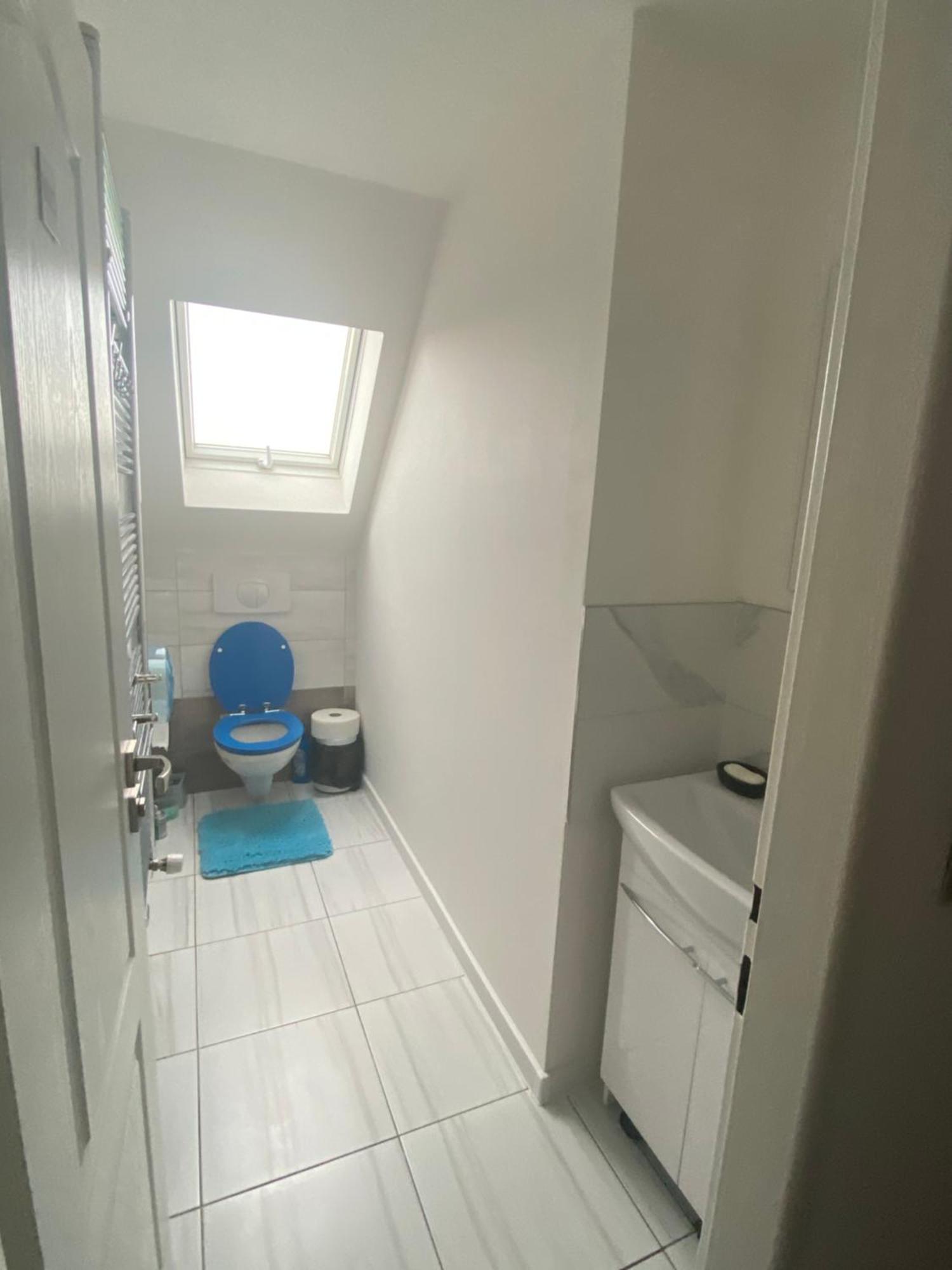 Homestay U Hanky Zdiby エクステリア 写真