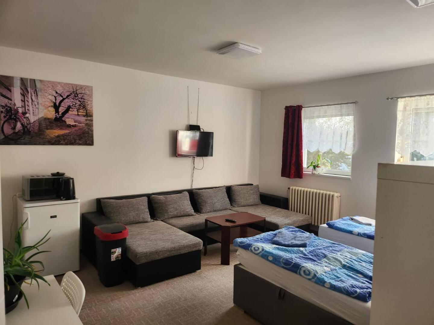 Homestay U Hanky Zdiby エクステリア 写真